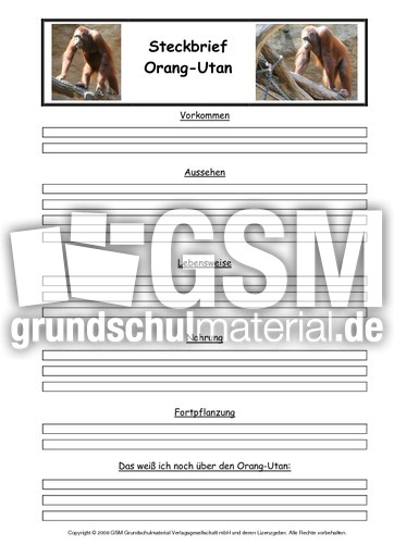 Orang-Utan-Steckbriefvorlage.pdf